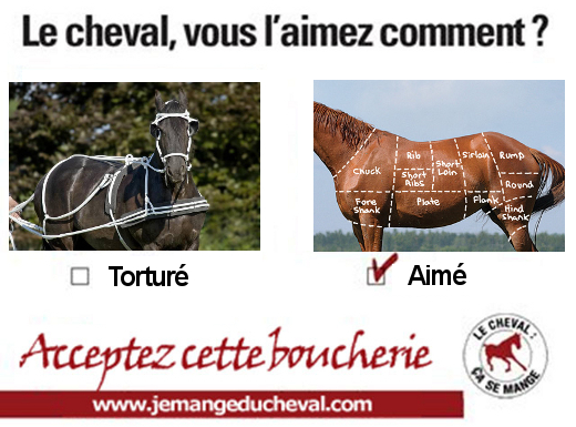 Le cheval, vous le préférez torturé ou aimé ?