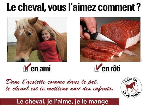 aimer le cheval de toutes les façons